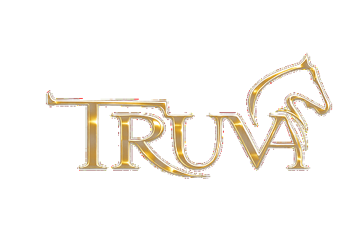 Truva Gümüşçülük